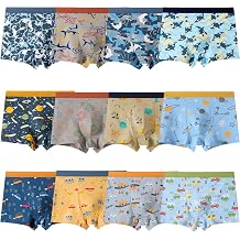 Boys Cotton Boxer Shorts Briefs 12-Pack,Soft Dinosaur Cartoon Print Underwear for Toddler to Big Kids 2-12 Years