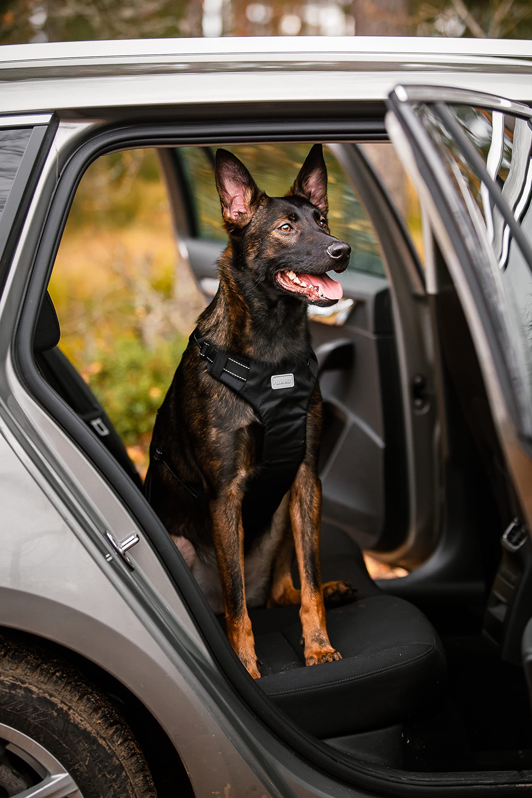 Rukka Mascotas Perro Arnés De Seguridad Correa Coche M