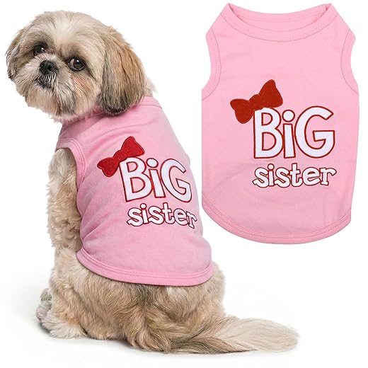 Parisian Pet Dog Cat Clothes Tee Shirts Big Sister T-Shirt, M