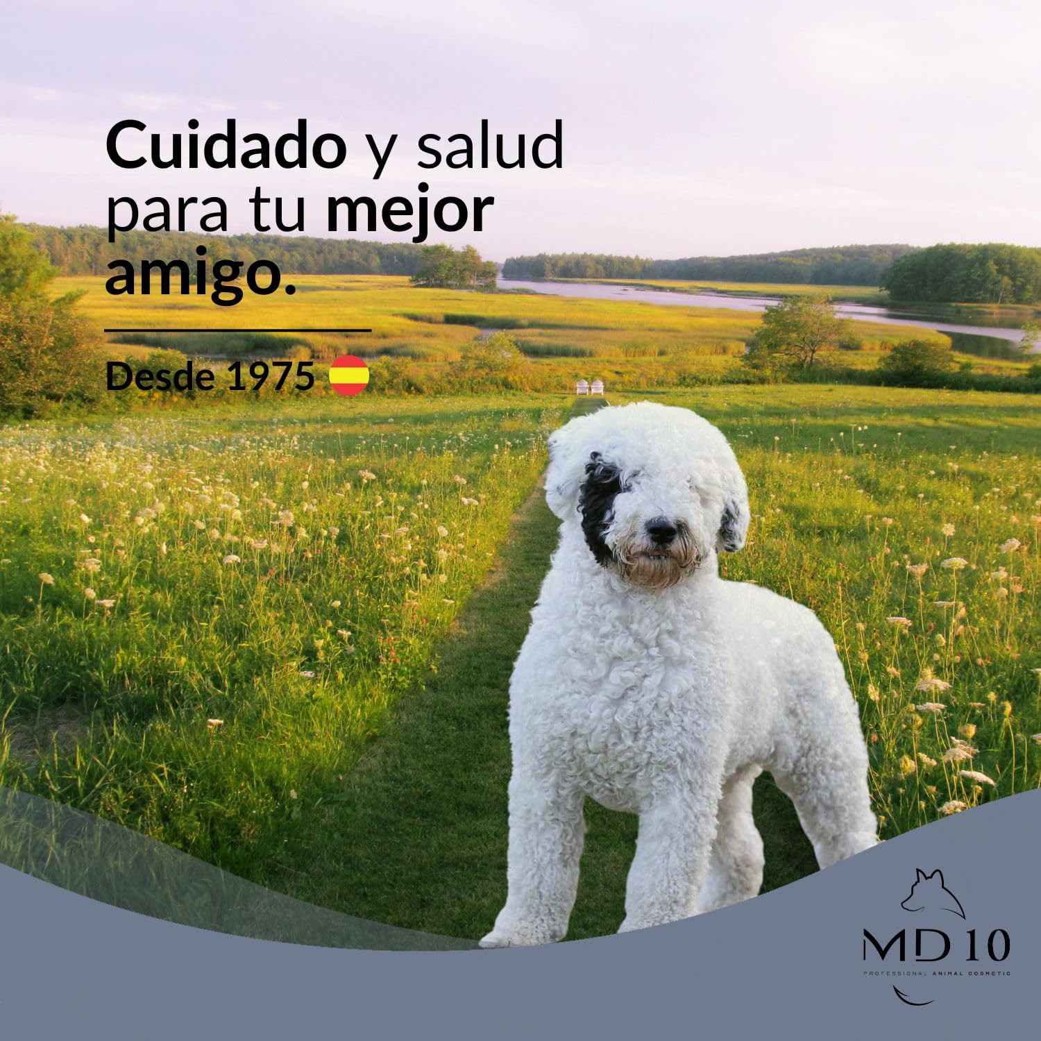 Pack Productos para Perros de Agua Pelo Blanco - Champú para Perros 750 ml, Acondicionador para Perros 300 ml, 2 Botellas Mezcladoras - Vegano y Biodegradable - Fabricado en España - MD-10 COLLECTION
