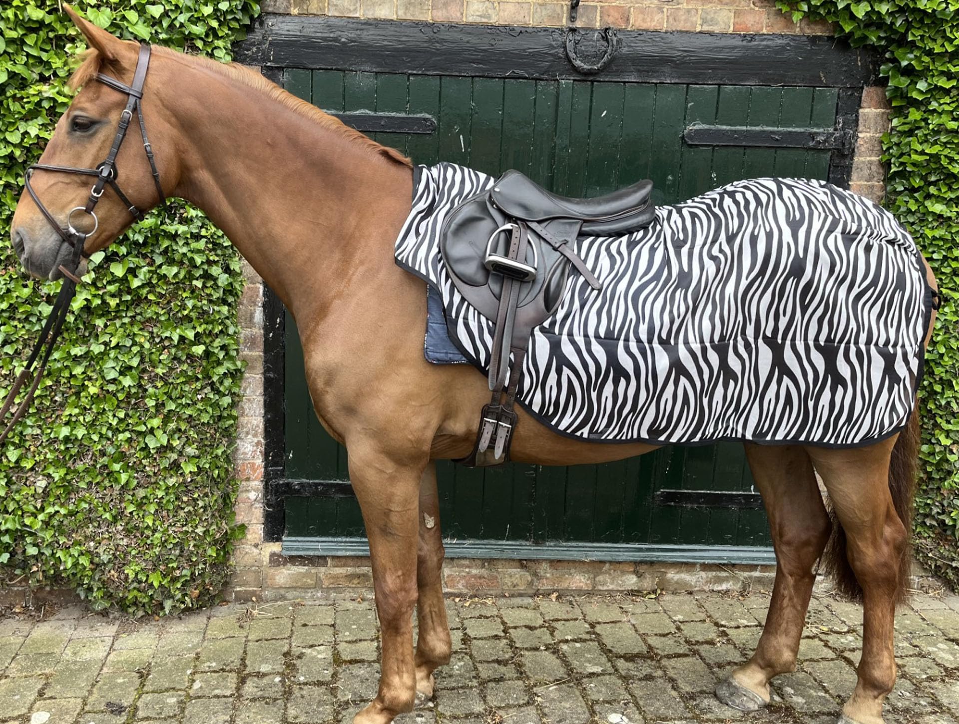 Ruggles Ride On Mesh Fly Exercise Sheet for Horse and Pony lightweight, breathable fly protection (Zebra Print, Large) - Image 4