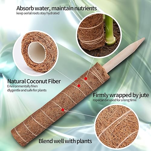 Miniatura 4 de Poste de musgo de 69 pulgadas, postes de musgo para plantas Monstera, paquete de 6 postes de fibra de coco de 15.7 pulgadas para plantas trepadoras,