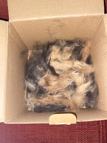 LAADI Deshedding Tool for Dogs and Cats — close-up of materials and construction quality