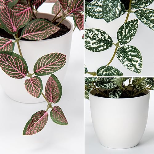 Miniatura 3 de Hollyone Plantas falsas, 2 paquetes de plantas artificiales de interior con maceta de plástico blanco, pequeña planta falsa en maceta para el hogar,