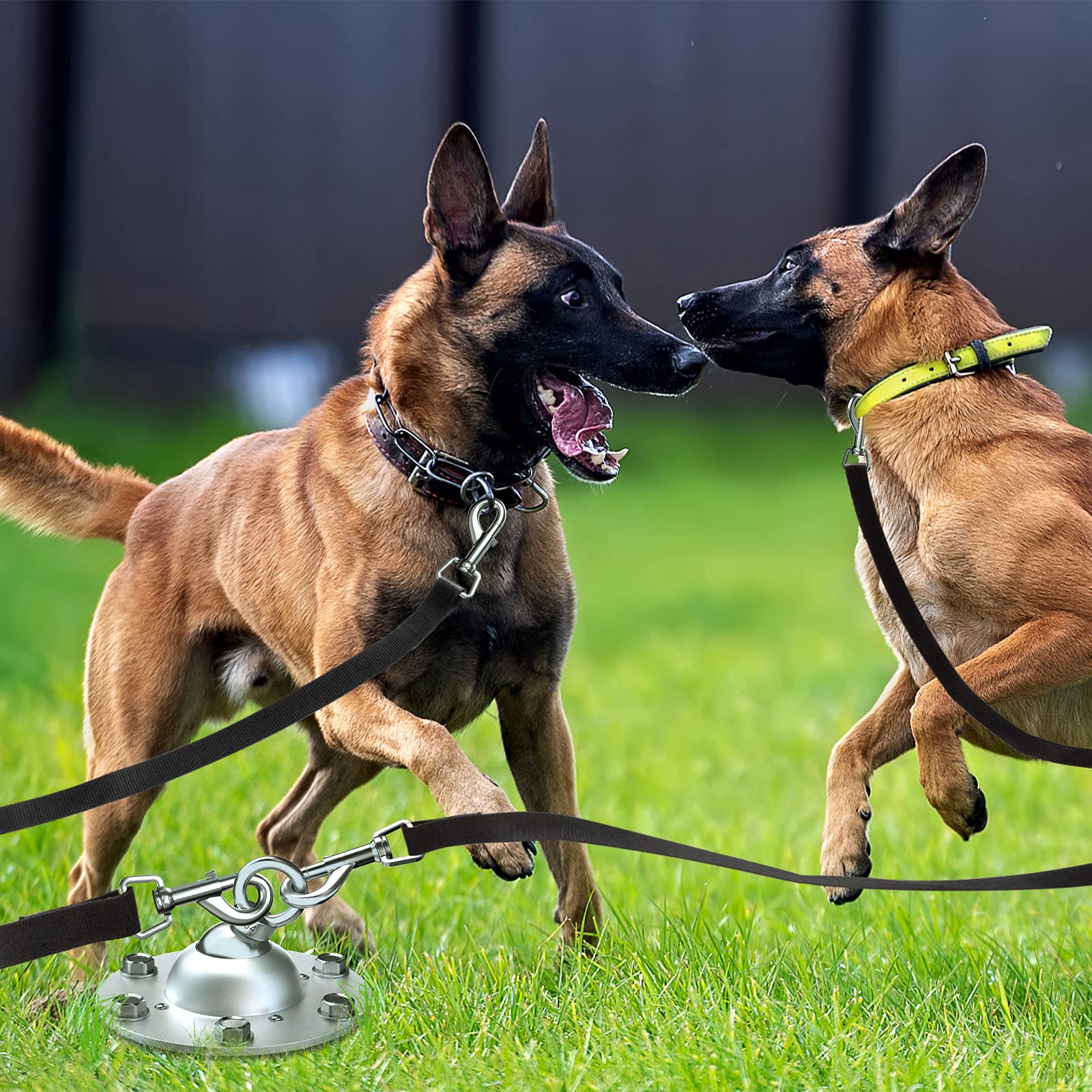 Buy Dog Tie Out Stake Heavy Duty Dog Anchor for Large Dogs up to 220lbs