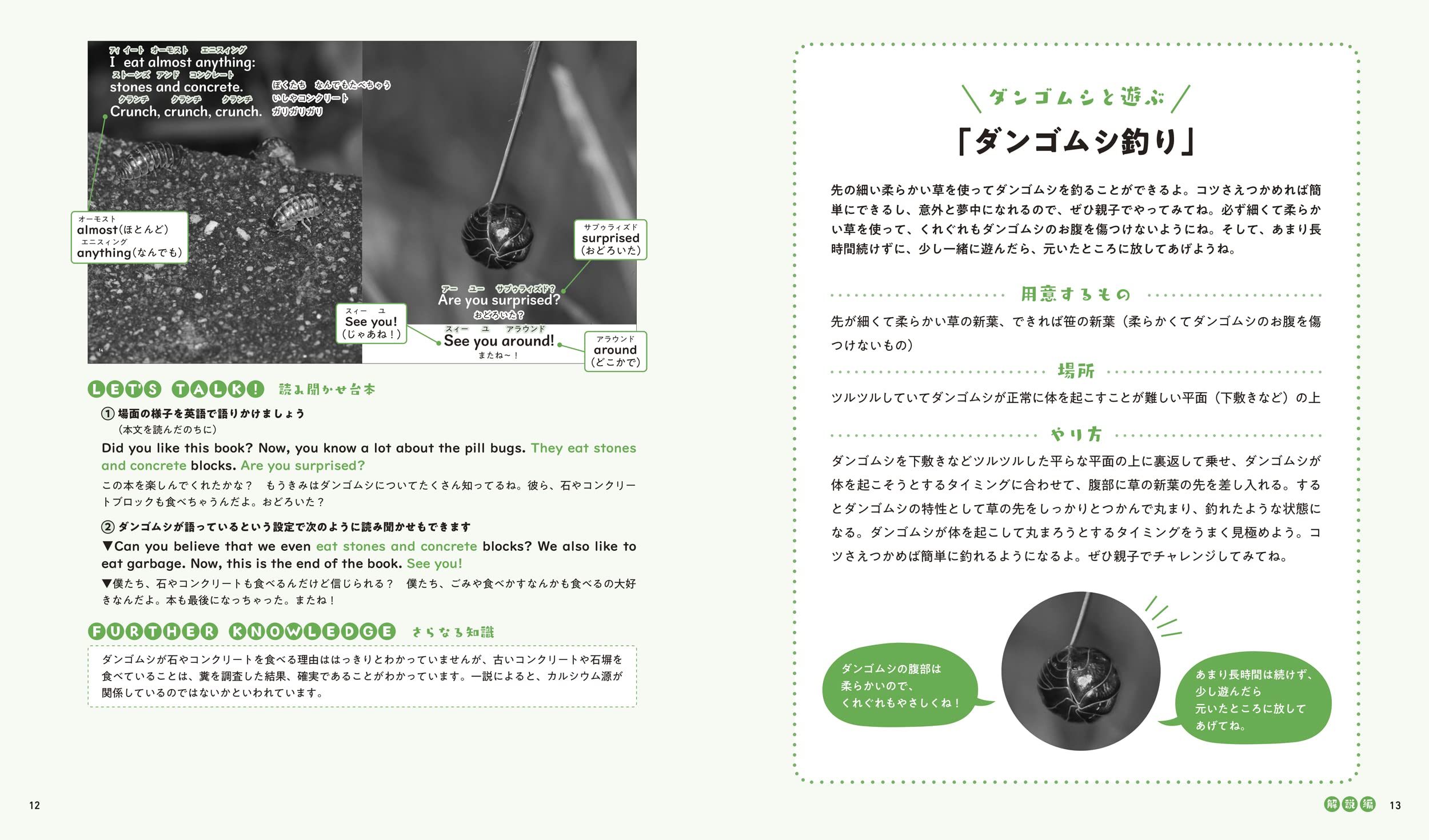 A Pill Bug ダンゴムシ ダンゴムシ 小学生のための英語絵本シリーズ Over The New Horizo アレン 玉井 光江 アレン 玉井 光江 皆越 ようせい 本 通販 Amazon