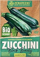 ZenGreens® - Bio Zucchini Samen - Zucchinisamen - Gemüsesamen für den einfachen Anbau im Garten, Balkon oder Hochbeet - Gemüse Saatgut - Black Beauty