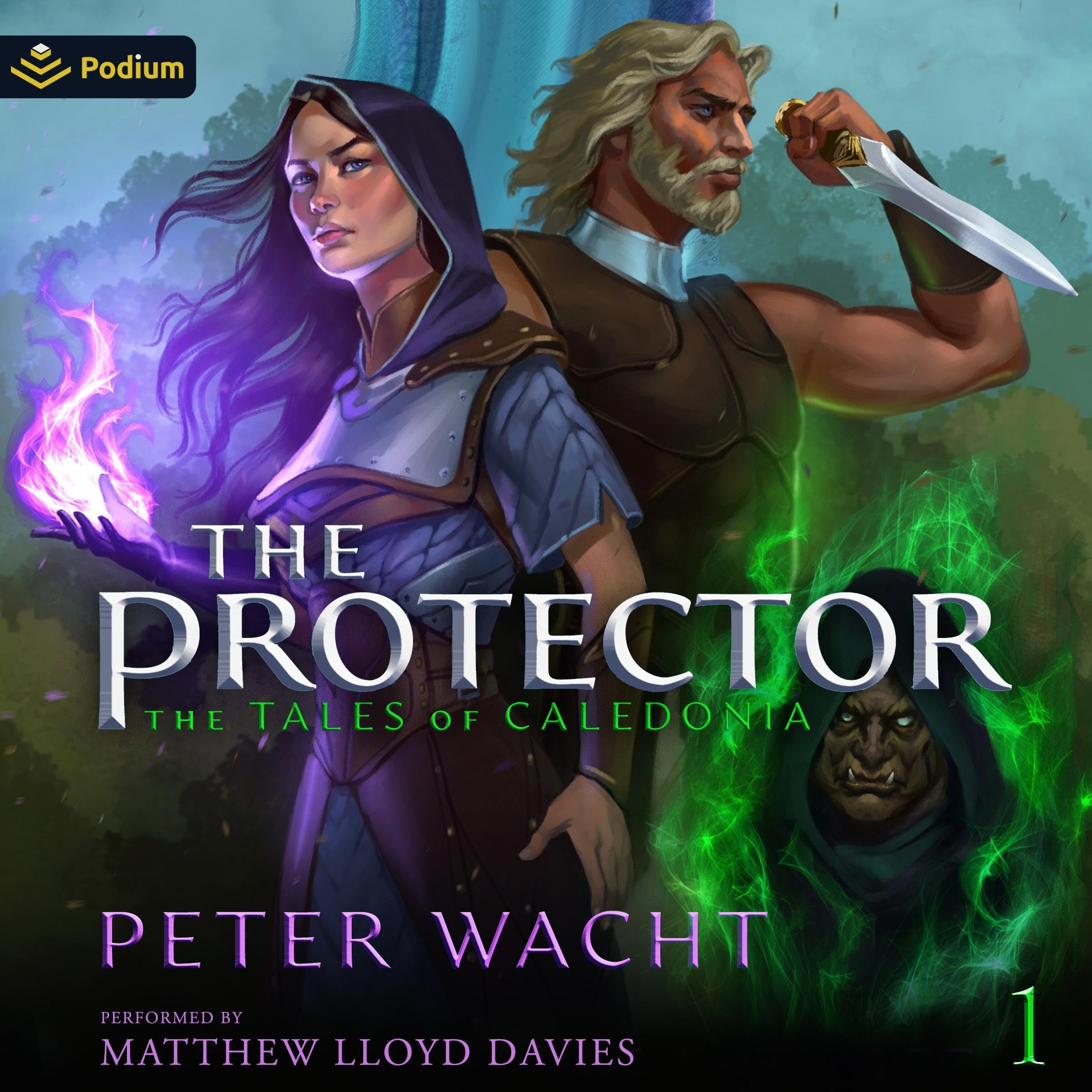 Cover art for The Protector