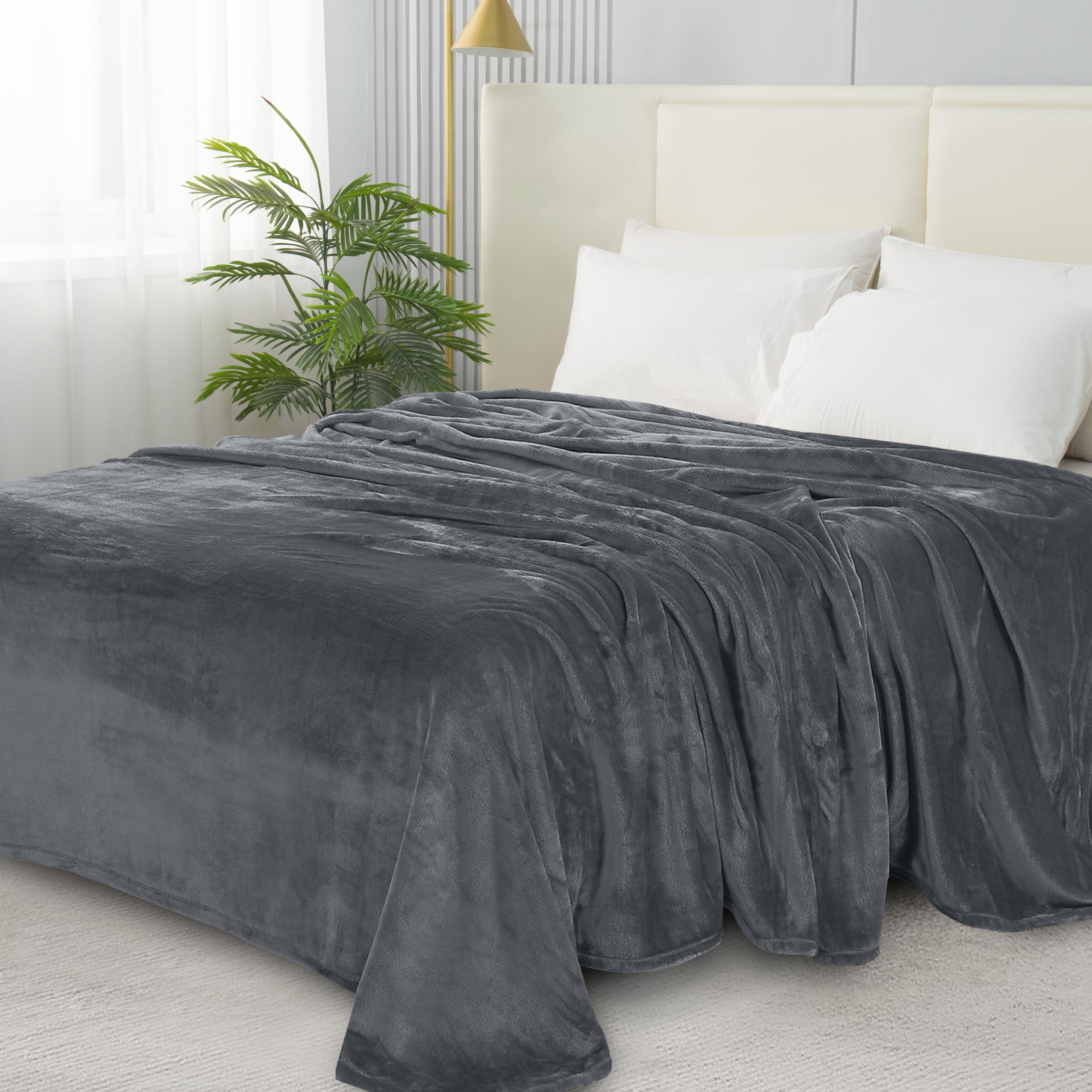 Elegant Comfort Luxury Velvety Softness Fuzzy Plush Micro-Velour Ultra-Soft Blanket, Full/Queen, Grey