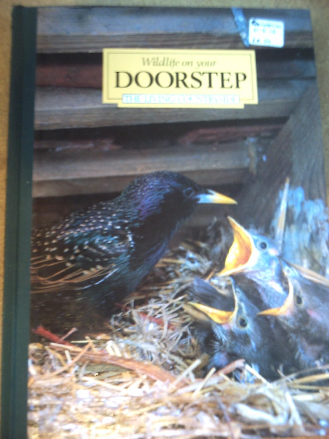 Australian Wildlife on Your Doorstep main image 0