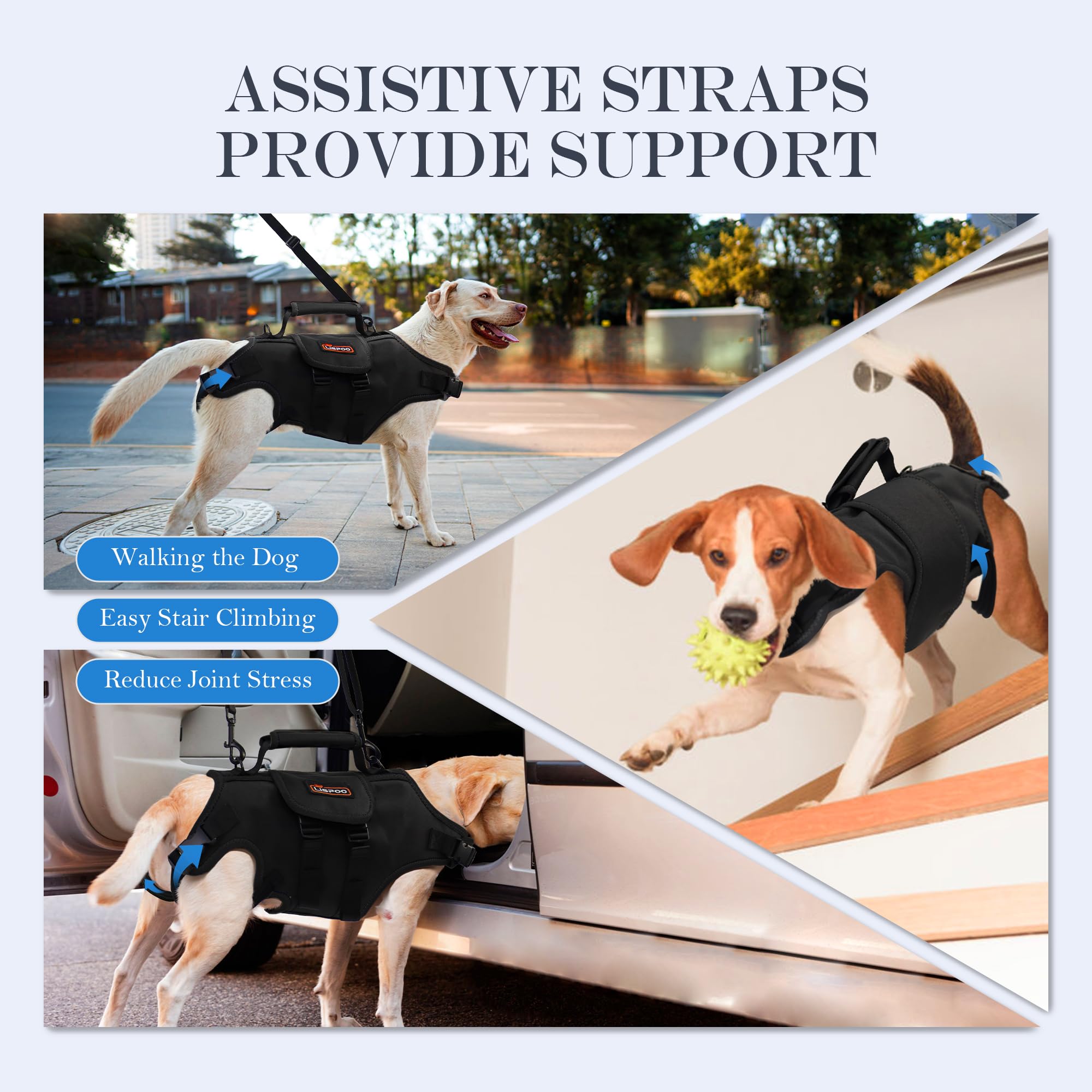 Arnés de cuerpo completo para perros mayores, tela Oxford, talla L