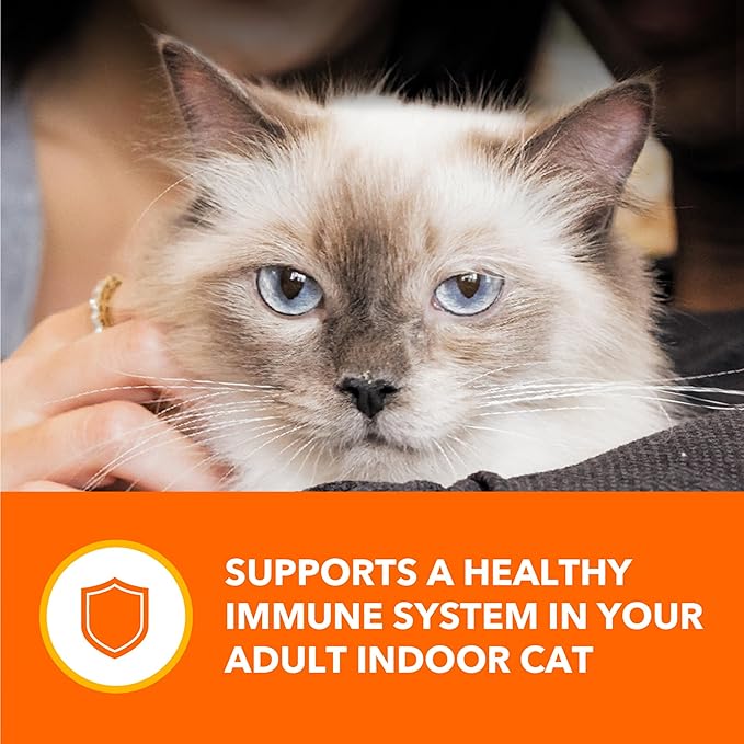 IAMS Perfect Portions Alimento Húmedo para Gatos Adultos, Paquete Variado Atún y Salmón, 12 Bandejas miniatura 8