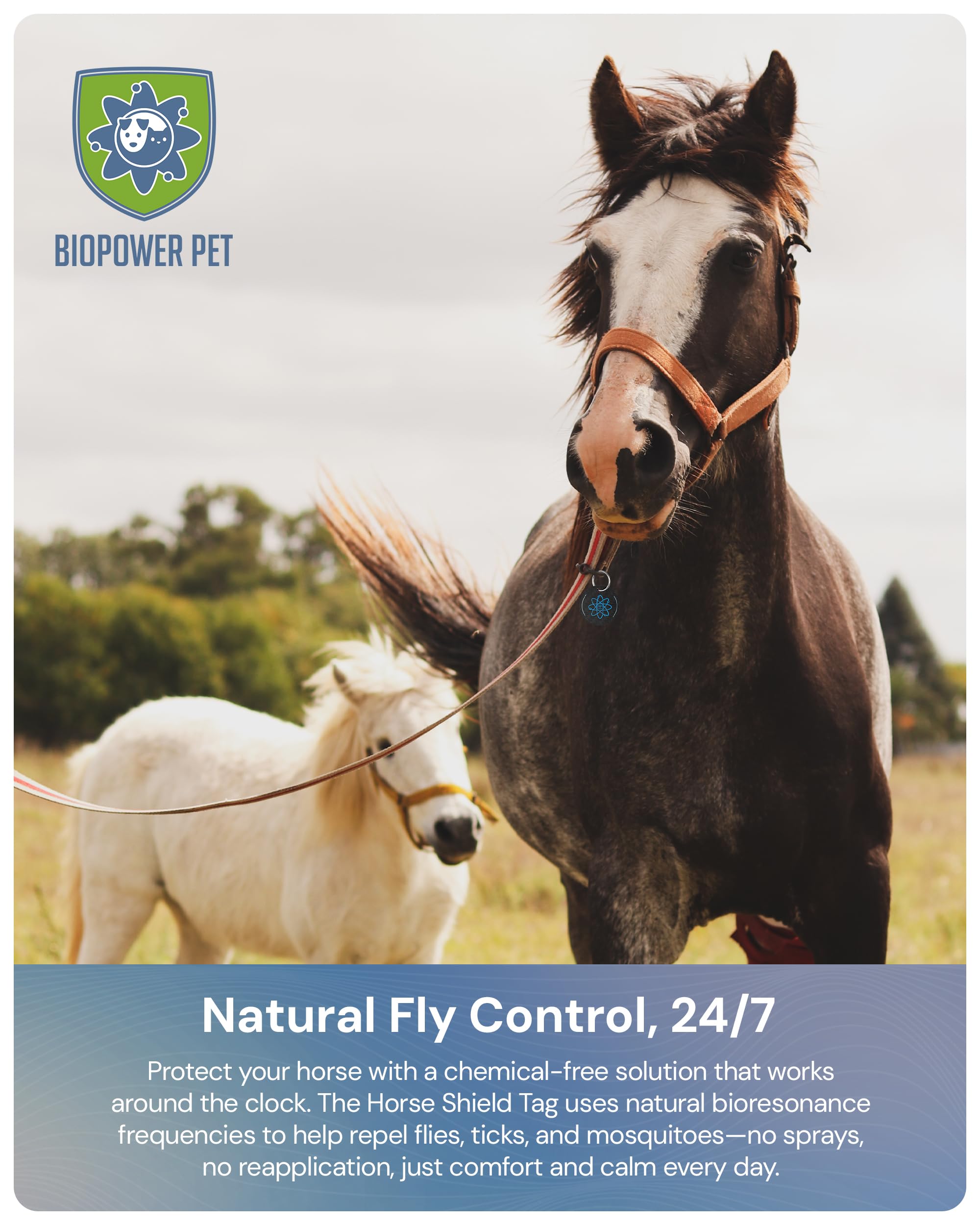 BioPower Natural Fly & Tick Repellent for Horses - Horse Shield Tag with 1-Year Bioresonance Protection – Chemical-Free, Waterproof Carbon Tag That Clips to Halter – Non-Toxic Pest Defense - image 3