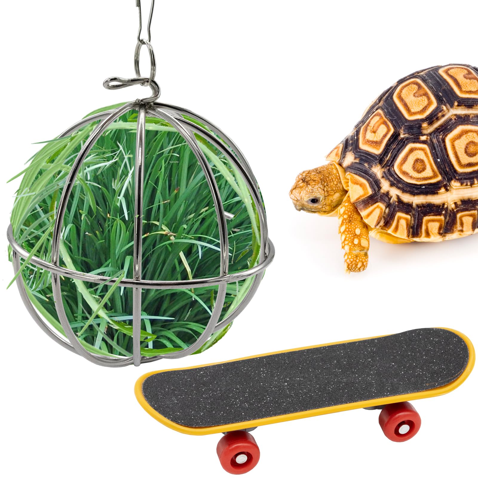 Niuohoy Tortoise Treat Ball and Mini Turtle Skateboard Set, Training Skateboard Toy & Tortoise Treat Ball Hanging Feeding Turtle Tank Accessories for Pet Turtle Tortoises Small Animals