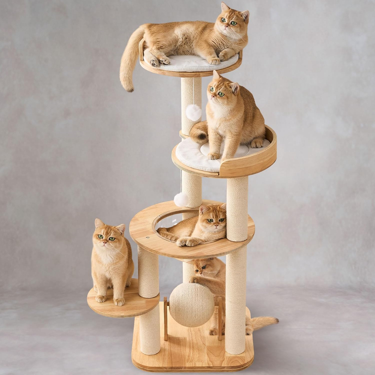 Modern Solid Wood Cat Tree Tower, 49″ Tall Cat Tree with Sisal Scratching Posts and Capsule for Large Cats, Natural Oak Wooden Cat Tower, Aesthetic Multi-Level Cat Climbing Tree for Indoor Cat