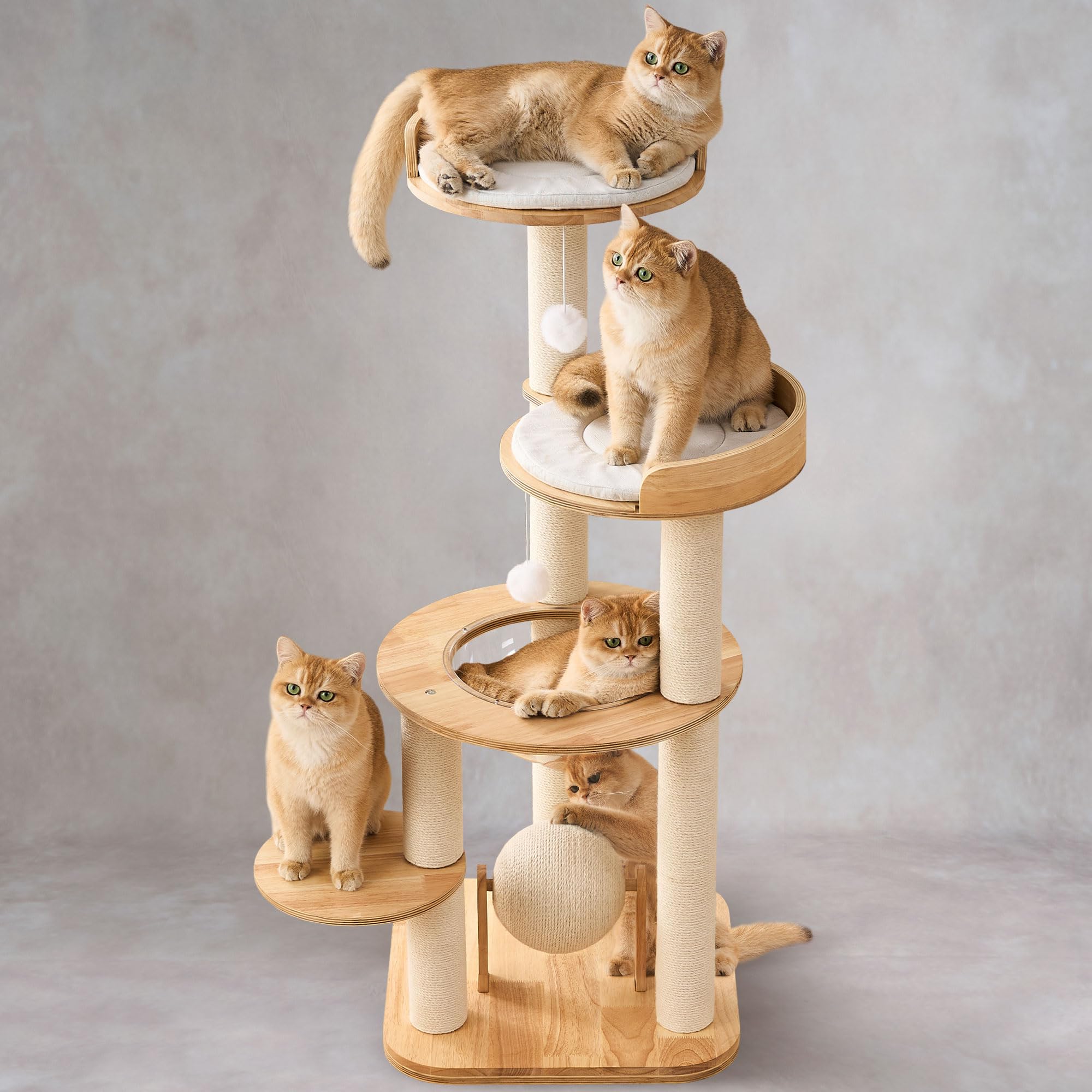 797Audio Modern Solid Wood Cat Tree Tower, 49" Tall Cat Tree with Sisal Scratching Posts for Large Cats, Luxury Natural Oak Wooden Cat Tower,Aesthetic Multi-Level Cat Climbing Tree for Indoor Cat