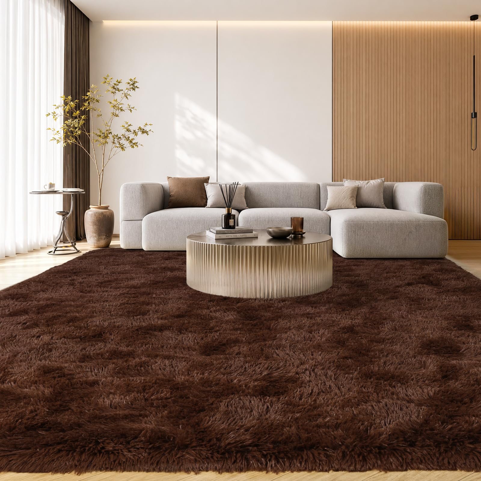 iEvery Brown Rugs for Living Room Large 200x300 cm, Fluffy Shaggy Bedroom Carpet Non-Slip, Modern Soft Plush Shaggy Indoor Rug High Pile for Lounge Playroom Kids Room