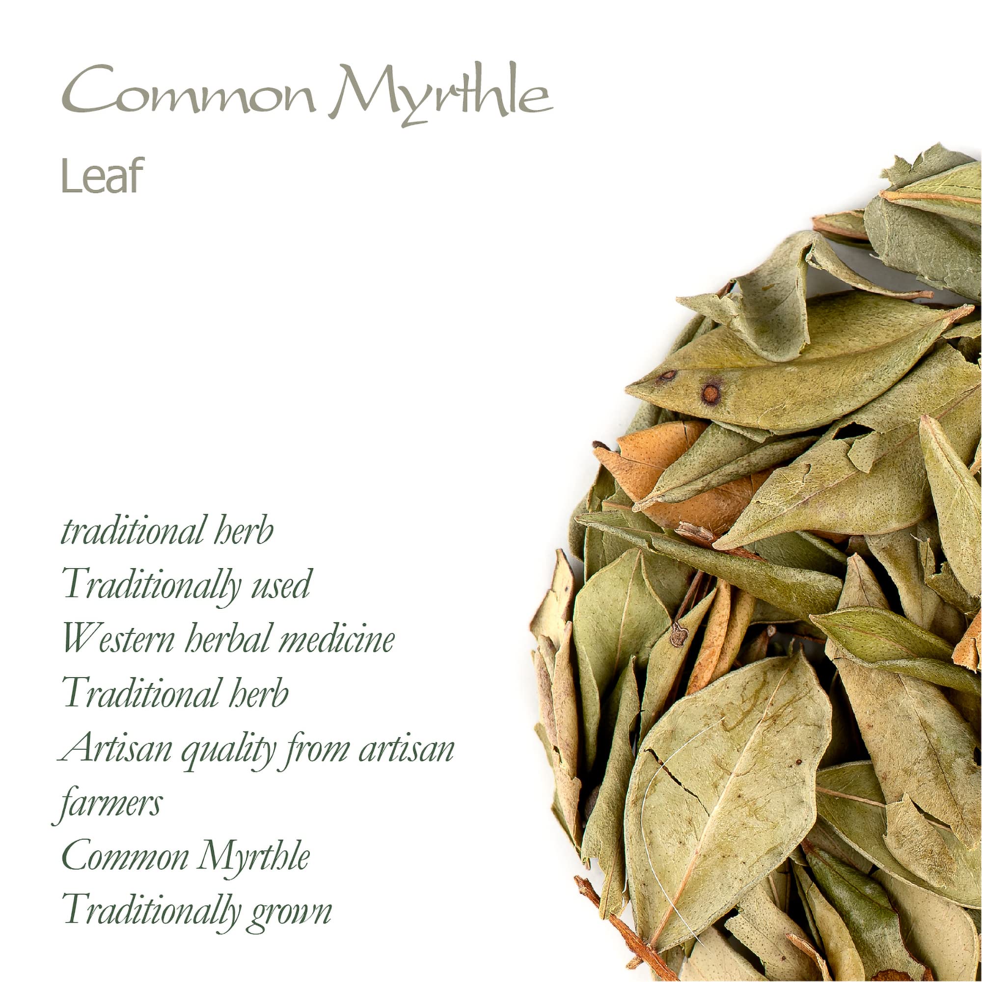 Myrthle Secó Hoja Hierbas - Hojas Sueltas De Myrthle Común