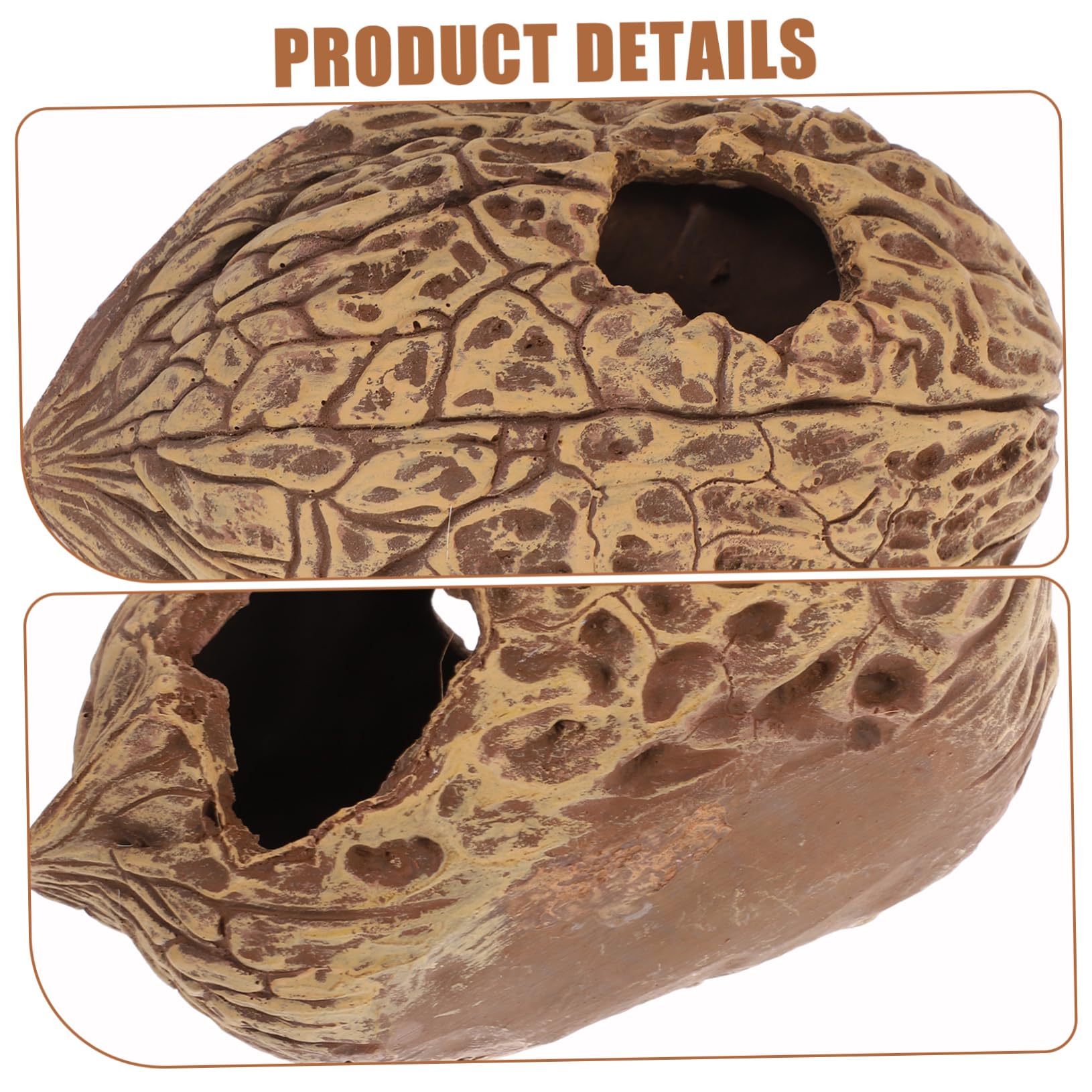 Refugio para Peces y Camarones Acuario Casa De Decoración Natural De Núcleo De Nuez Accesorio para Acuarios De Agua Dulce y Salada Espacio Seguro para Reptiles y Tortugas