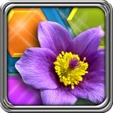 HexLogic - Gardens