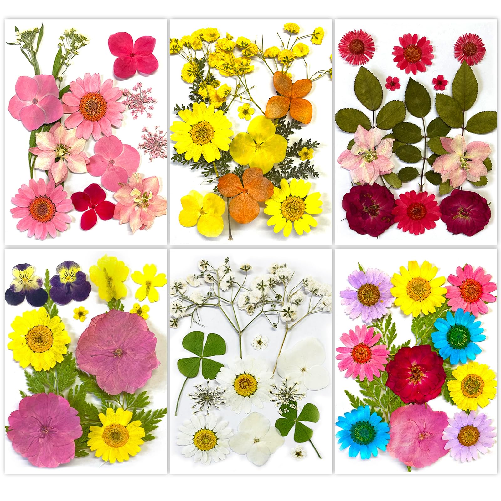 150Pcs Dried Pressed Flowers for Resin Crafts, Real Nature Dry Flowers