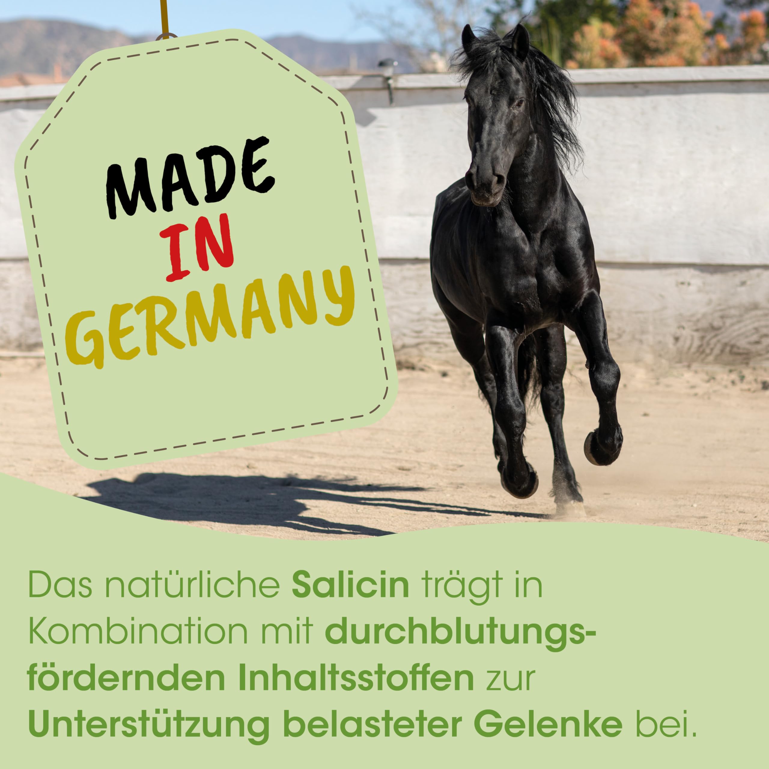 cdVet Naturprodukte ArthroGreen Lauf-Fit 500ml - Nahrungsergänzung zur Unterstützung der Gelenke für Pferd, Hund und Katze mit Kräutern