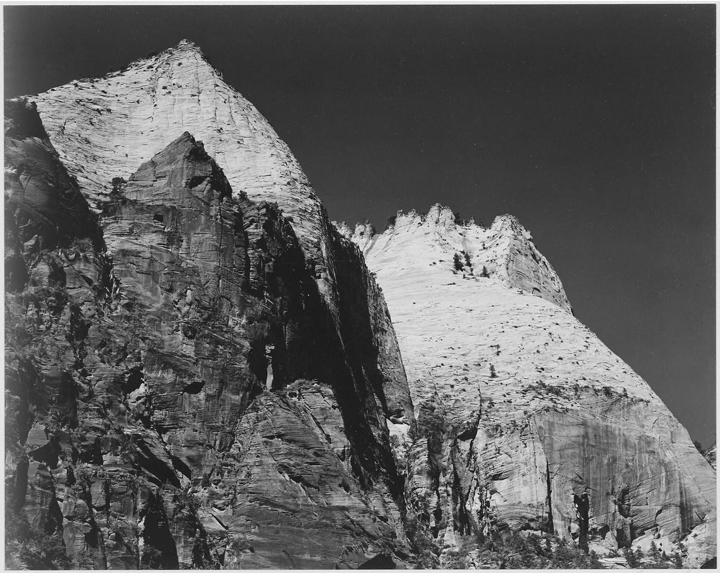 鳳凰と花唐草の地紋　レモンシャーベット色の色無地 鳳凰と花唐草の地紋 レモンシャーベット色の色無地 色無地 天女織