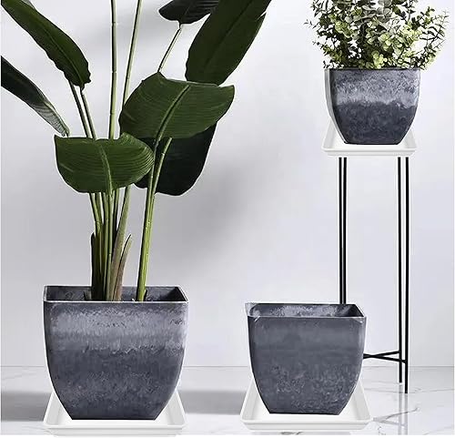 Miniatura 10 de Platillo cuadrado para plantas de 6, 8, 10, 12, 14, 16, 18, 20 pulgadas, paquete de 5 platillos de plástico, bandeja de drenaje de agua para