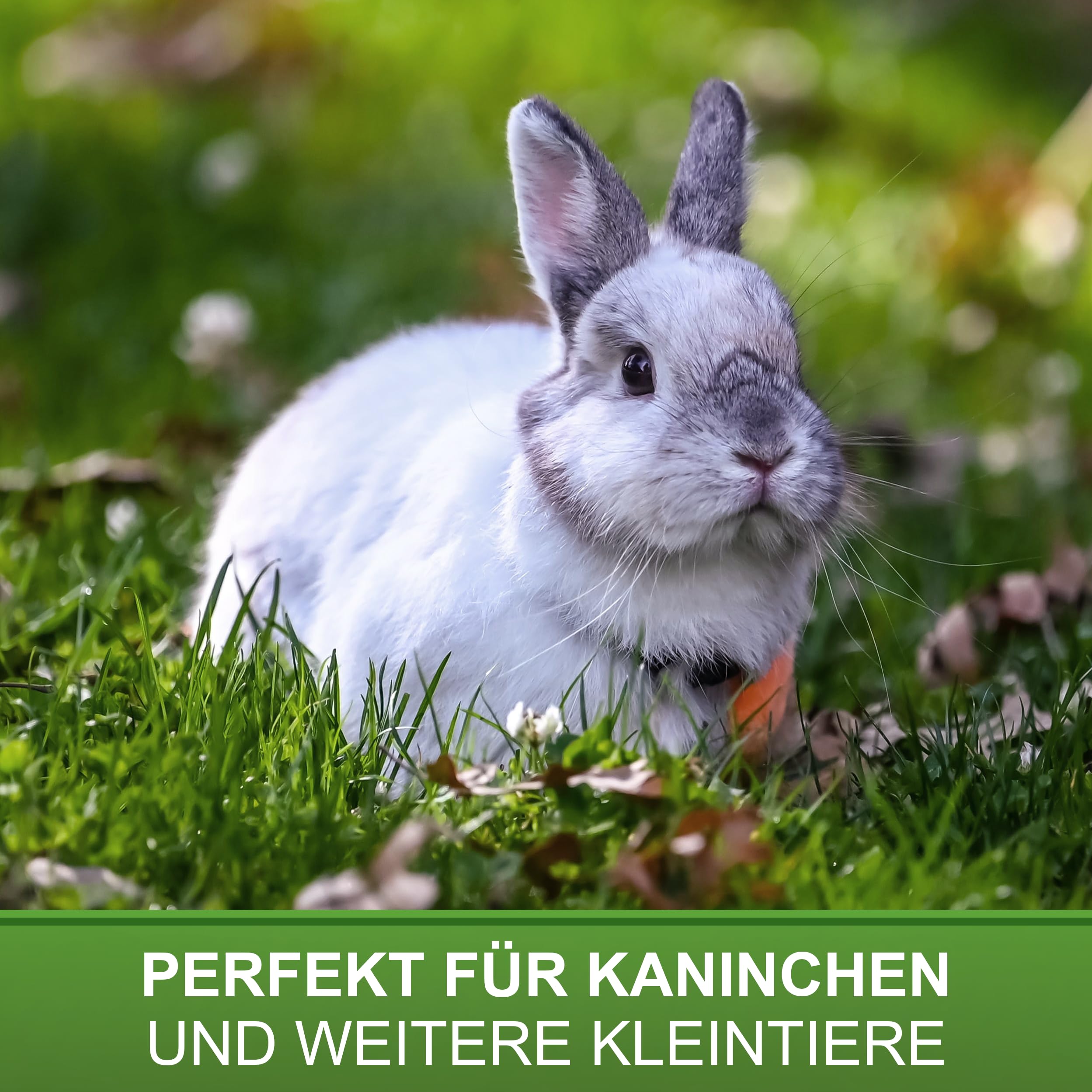 Kleintiertränke 1 Liter - Kaninchentränke mit Halterklammer - Nagertränke mit Klappdeckel - Kükentränke mit Tränkenippel - Nippeltränke für Kaninchen, Küken und Kleintiere