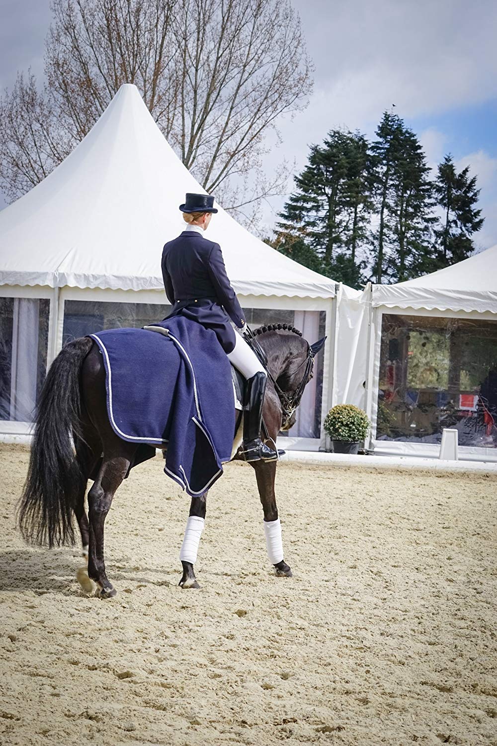 5,5 Litro CleanPrince Cavallo coperte impregnazione dei Risorse Imprägnieren Protezione umidità per da pascolo Telo impermeabile anti mosche reni Esterno traspirante Einwaschimpraegnierung