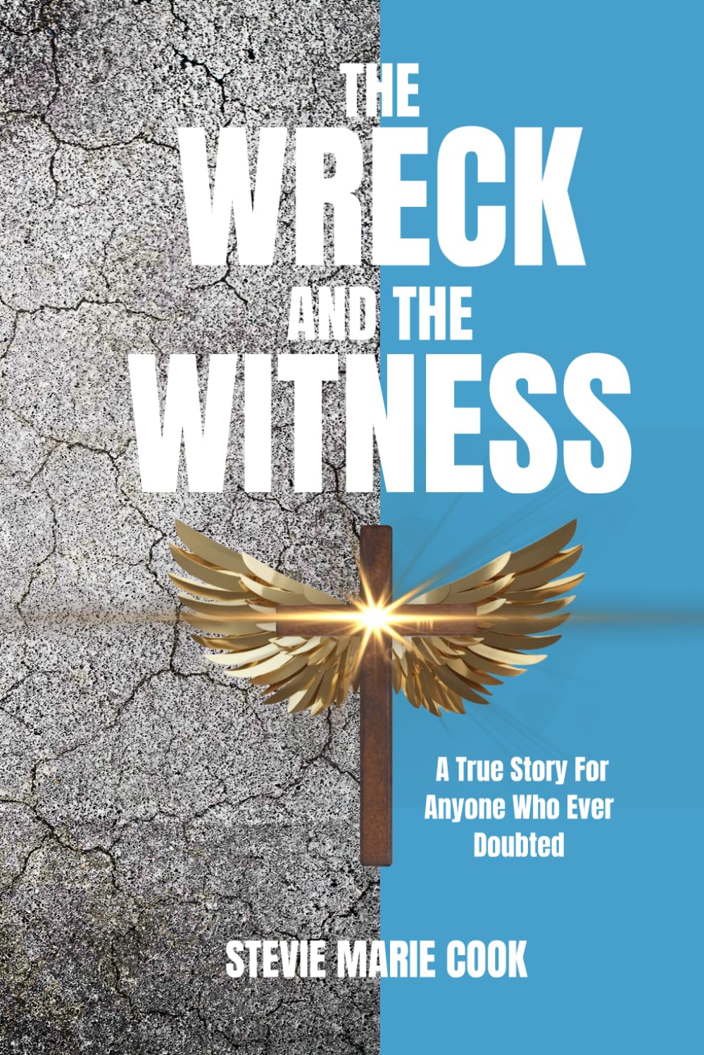 The Wreck and the Witness: A True Story For Anyone Who Ever Doubted
