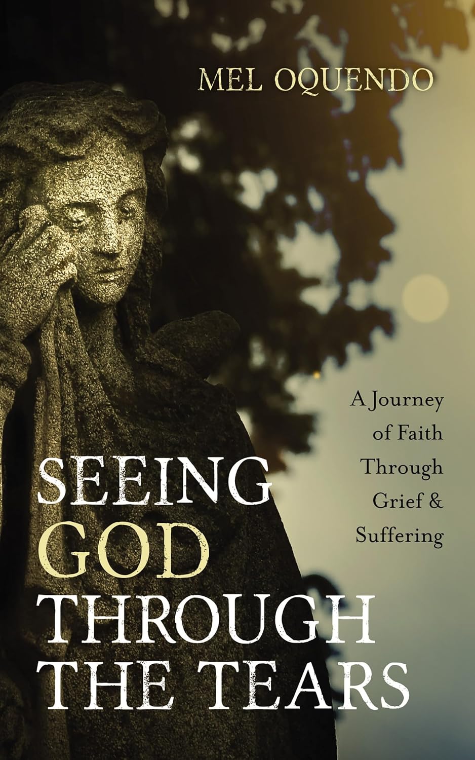 Seeing God Through the Tears: A Journey of Faith Through Grief and Suffering