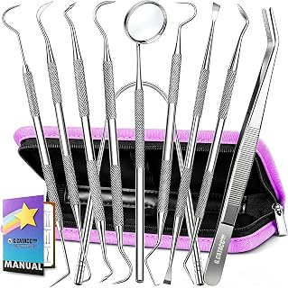 G.CATACC 10 Pack Dental Tools Kit, Professional Teeth Cleaning Set
