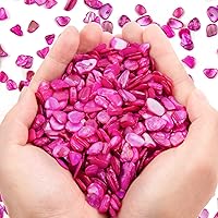 Vista 12 de QICQDRAM Conchas trituradas para manualidades de aproximadamente 1 libra (14.29 oz/14.28 onzas), pequeñas conchas naturales trituradas a granel