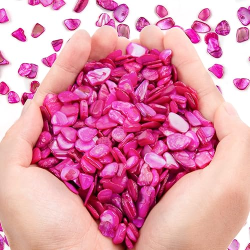 Conchas trituradas para manualidades de aproximadamente 2 libras (31.75 oz31.74 onzas), pequeñas conchas naturales trituradas a granel para