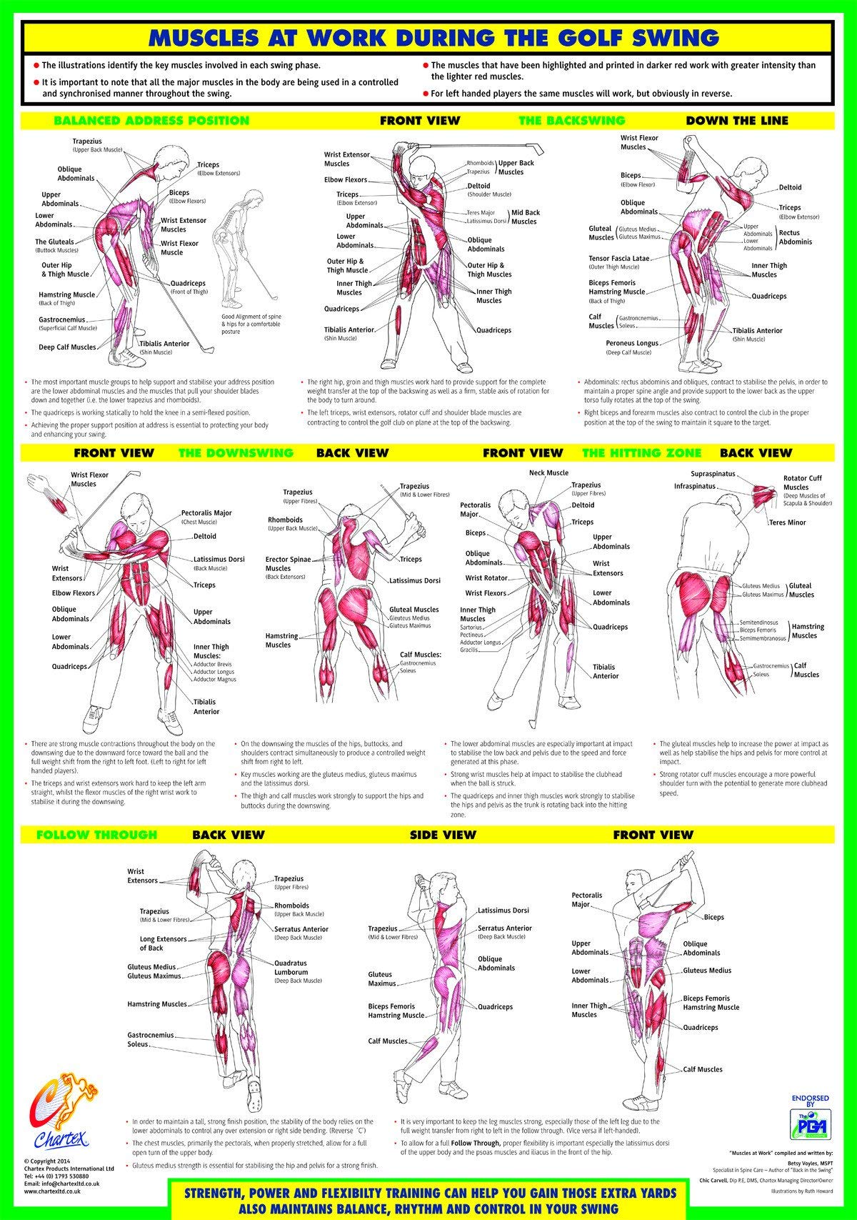 Golf Training And Exercise Posters, Golf Instruction Chart