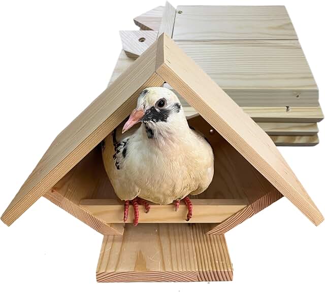 Bird Nesting Box for Mourning Doves