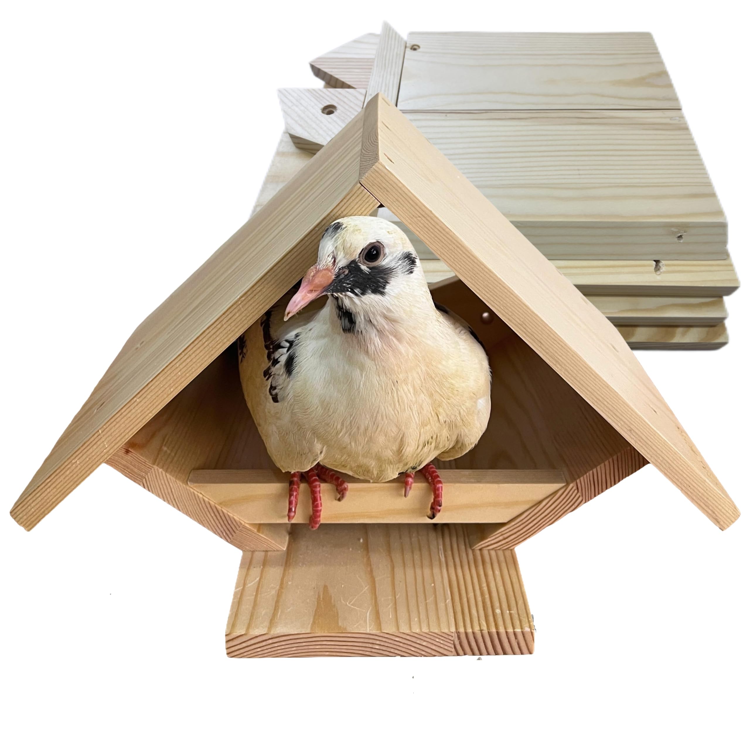 Paloma para pájaros, paloma de luto, caja de anidación para palomas, plataforma de nido abierto | Para palomas de luto, palomas, diseño abierto, para jardín trasero, pájaros pequeños y medianos, no grandes