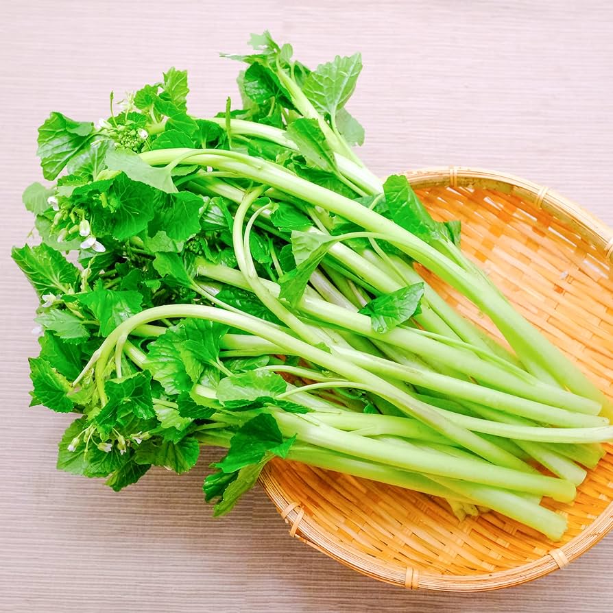 花わさび　2kg　本日発送 花わさび 2kg 本日発送