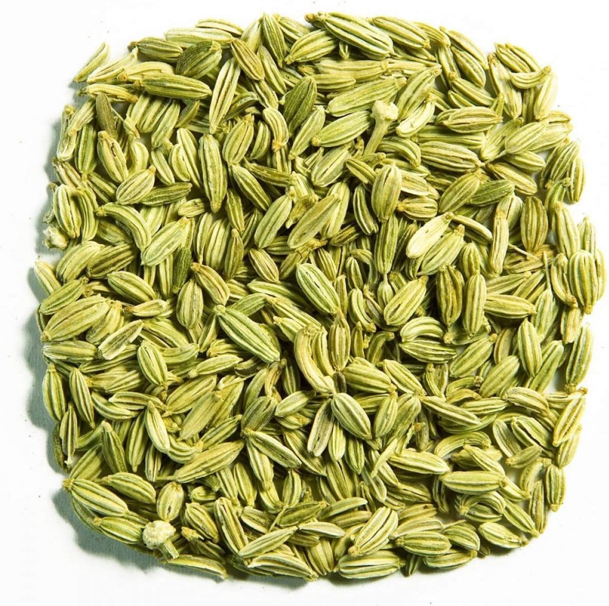 Nature Krafts Fennal Seeds 100gm Barik fikhi Saunf