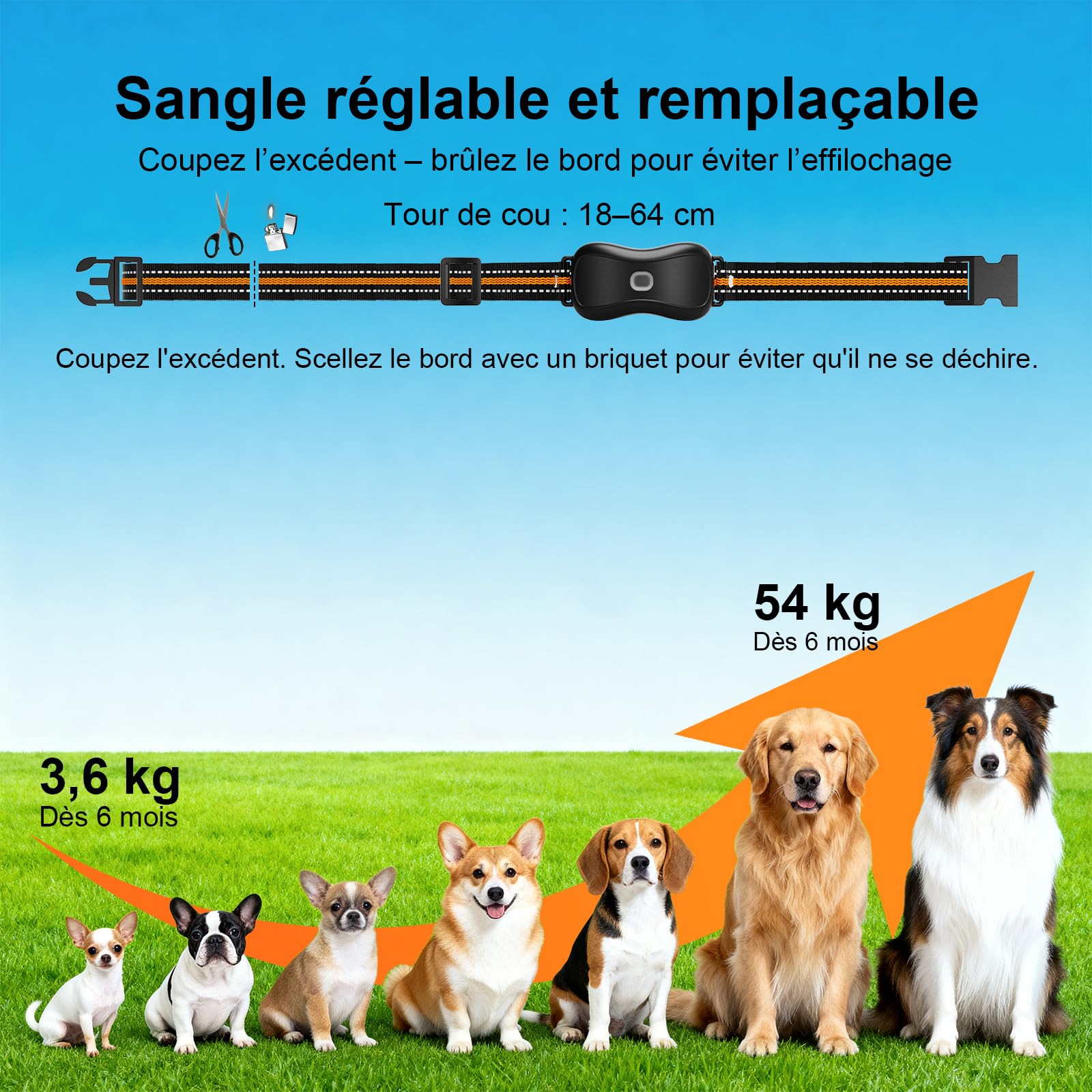 Collier Dressage 3 Modes Choc 1000m IP67 LED Rechargeable | Collier Dressage Chien Télécommande 3 modes (bip/vibration/choc), 1000m, IP67 récepteur, batterie 2h/15-60j, cou 67.5cm, LED