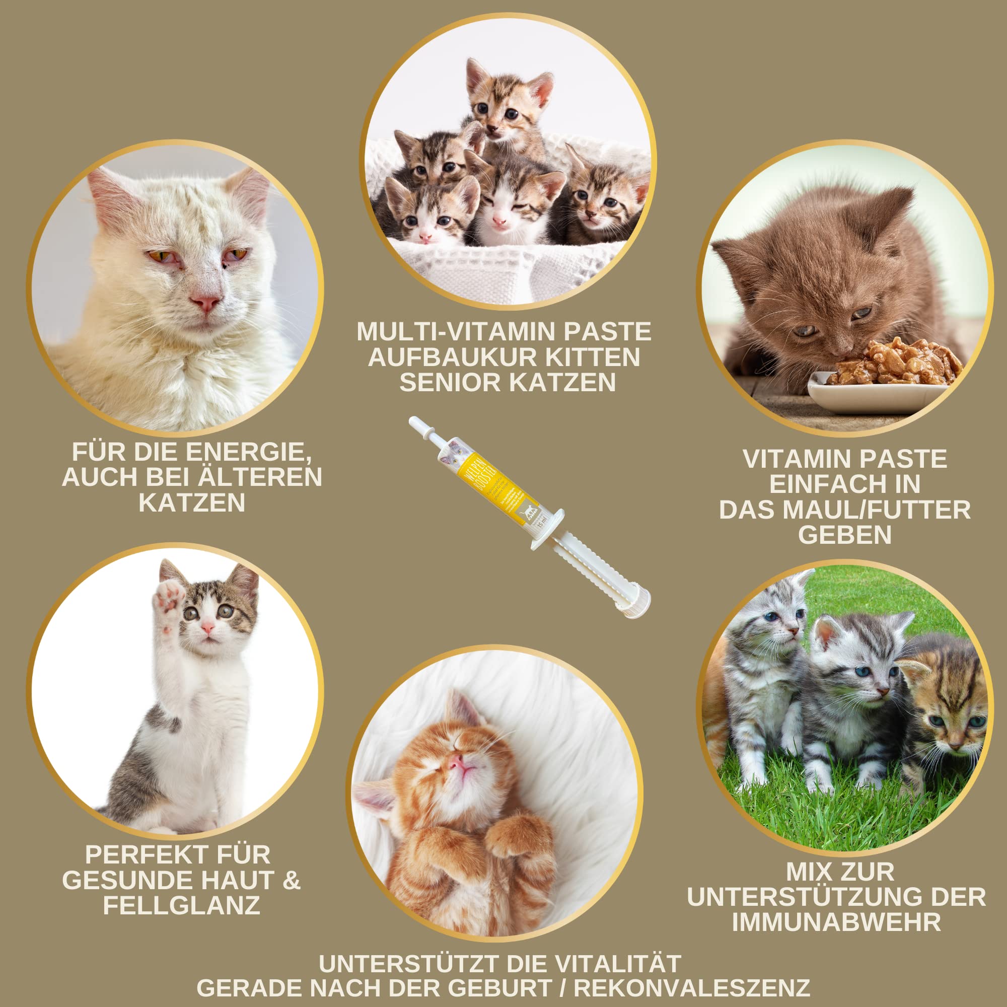 EMMA Multi Vitamine B Complex para Gatos, Vitamina B1, B2, B6, B12, Calcio, ácido fólico, Hierro, Zinc Líquido 100 ml más Refuerzo vitamínico 15 ml