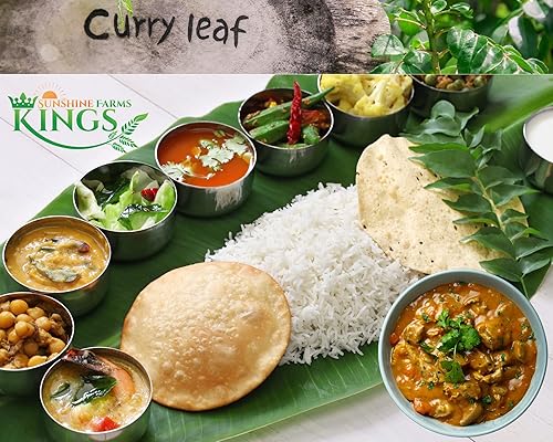 Miniatura 47 de Hojas de curry frescas - 4 oz - Paquete de $3.74 por oz - Inspeccionado por el USDA en el sitio, cultivado en Florida, altamente aromático y sabroso