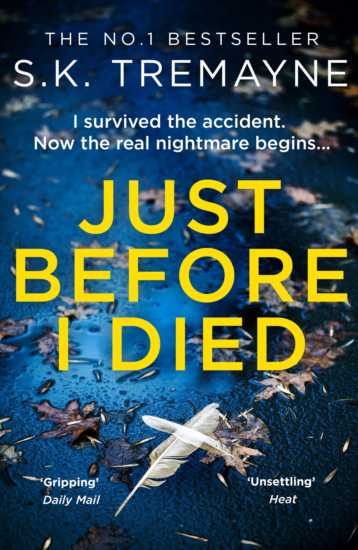 Just Before I Died: The gripping new psychological thriller from the bestselling author of The Ice Twins