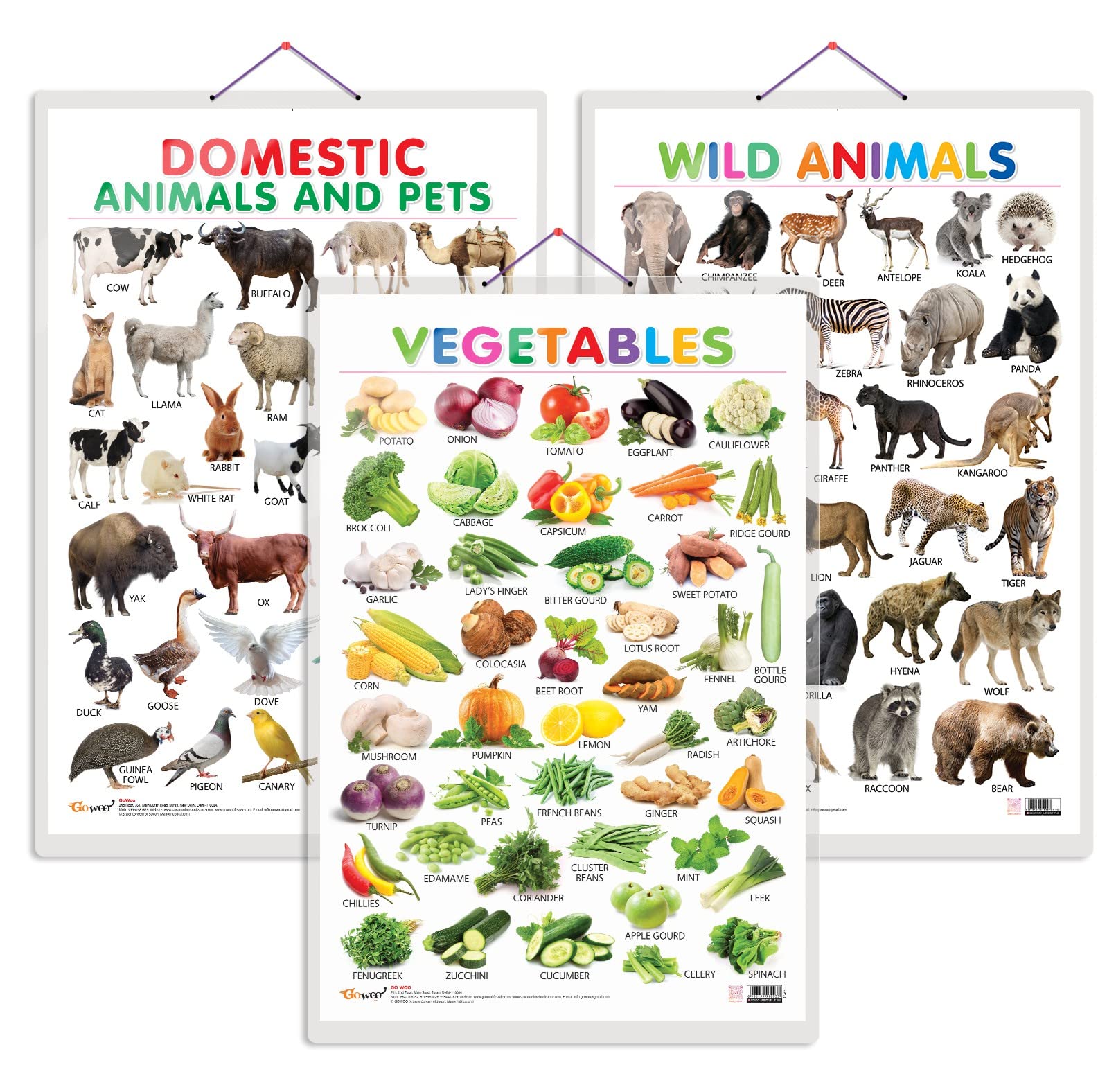 Set of 3 Vegetables, Domestic Animals and Pets and Wild Animals Early Learning Educational Charts for Kids | 20"X30" inch |Non-Tearable and Waterproof | Double Sided Laminated | Perfect for Homeschooling, Kindergarten and Nursery Students