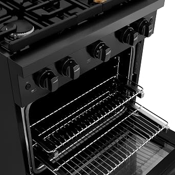 ZLINE 30 in. 4.2 cu. ft. Paramount Gas Range with 4 Burner Cooktop and Convection Gas Oven in Black Stainless Steel (SGRB-30)