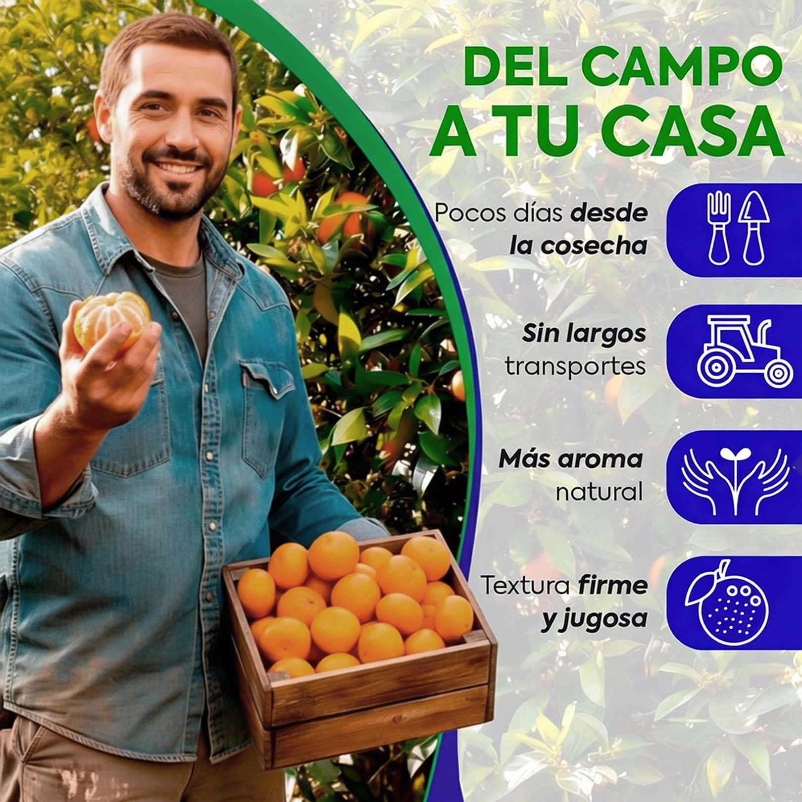 MANDARINAS FRESCAS DE VALENCIA DIRECTAS DEL ARBOL RECIEN RECOLECTADAS - DEL ARBOL A TU MESA SIN TRATAMIENTOS POST COSECHA - CAJAS DE 9, 15 Y 19 KG - FRUTA NATURAL VALENCIANA (9KG)