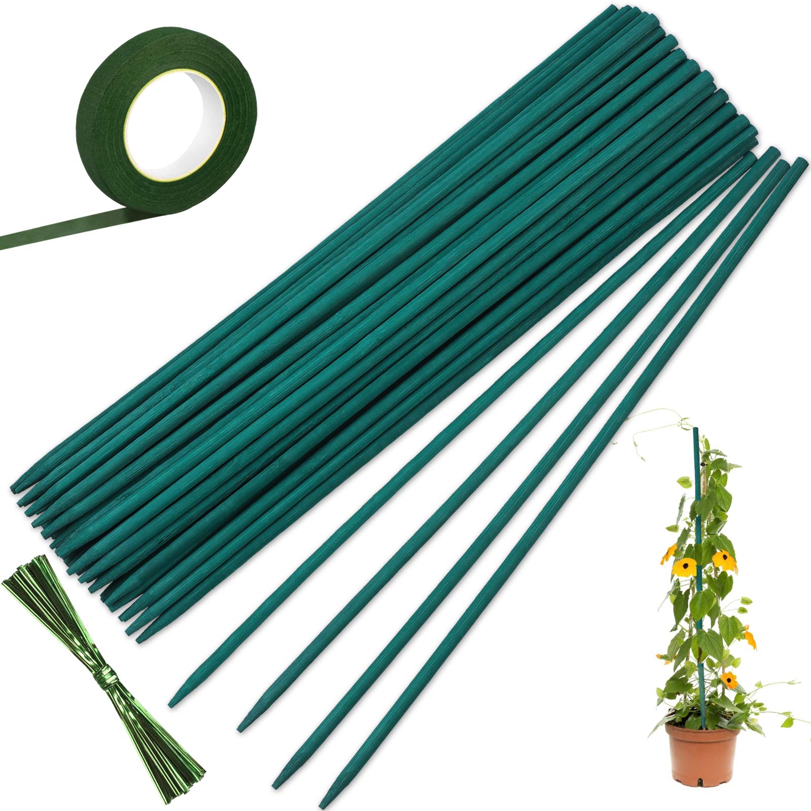 Reastar Pflanzenstäbe 50 Stück Pflanzenstützen Grüne Pflanzstäbe Tomatenstäbe mit 27cm Floristenband - für Haus Garten Kletterpflanze Erweiterung der Pflanzenstütze (11.8in/30 cm)