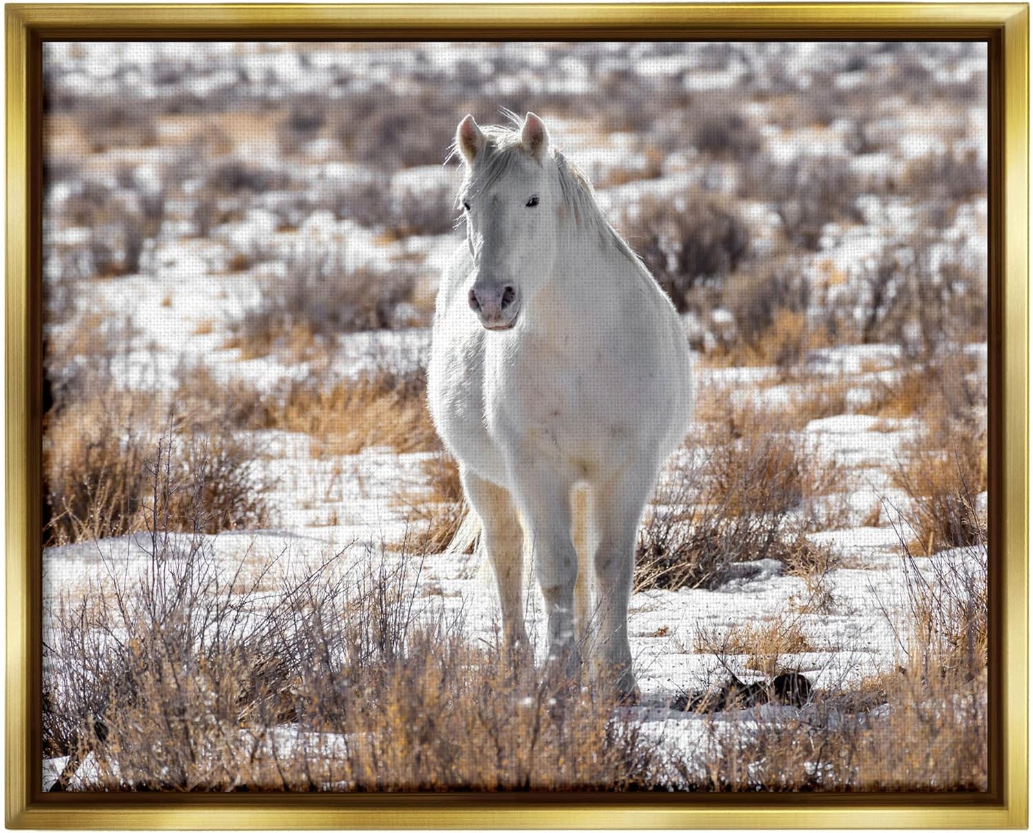 Stupell Industries Winter Snow Horse Wildlife Floating Framed Wall Art, Design by Jeff Poe
