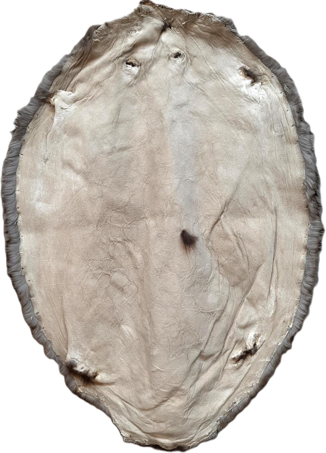 Beaver Pelt, Tanned (Medium 45")